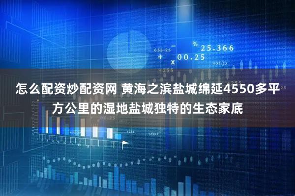 怎么配资炒配资网 黄海之滨盐城绵延4550多平方公里的湿地盐城独特的生态家底
